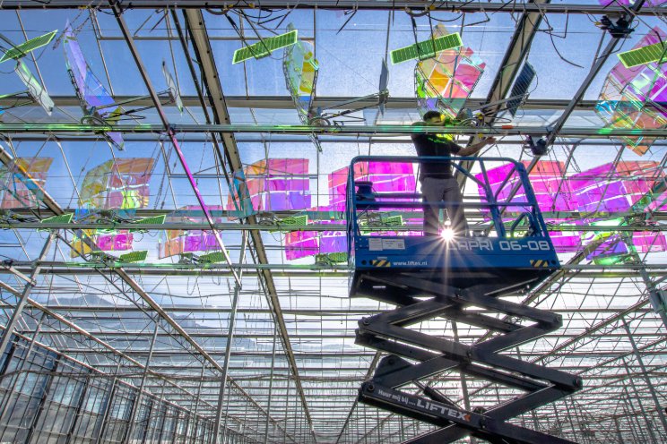 Voltiris secures CHF 4.8M seed financing to power high-tech greenhouses