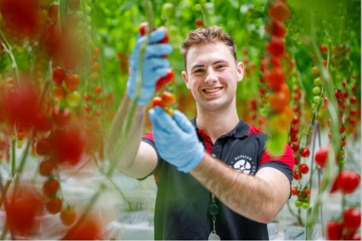 'AI makes working in horticulture interesting for young people'