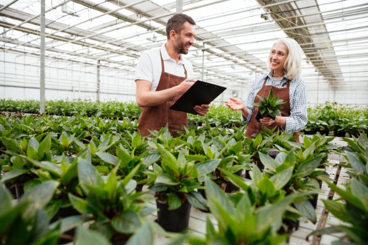 The need for agile project managers in greenhouse floriculture