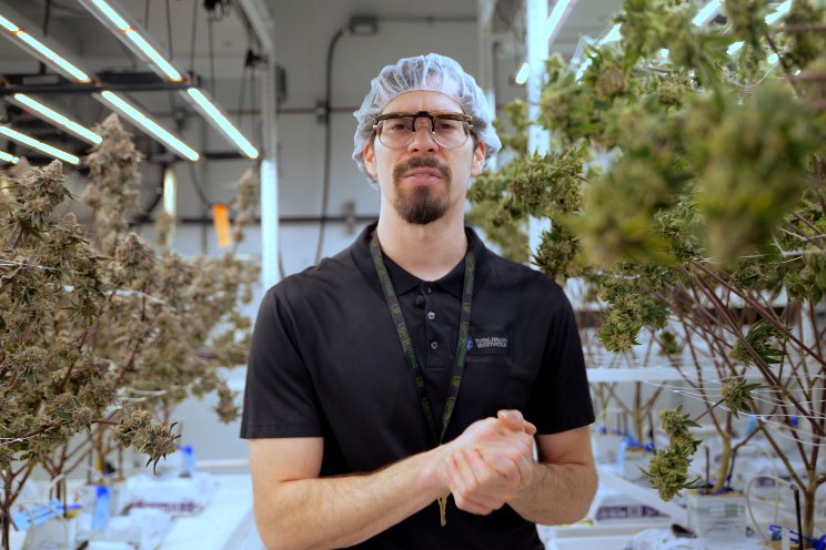 Award-winning cultivator LightSky Farms collaborates with Fluence