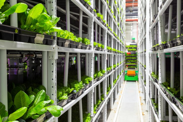 Johor readying RM38mil vertical farming project