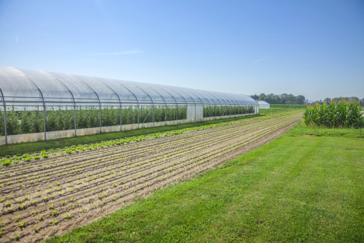 Chipotle's $500K donation fuels sustainable agriculture research