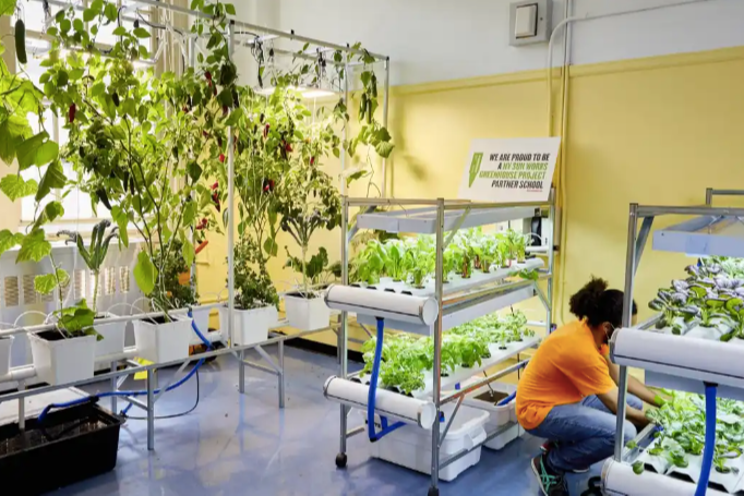 Climate education and urban agriculture in NYC schools