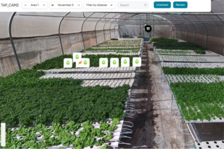 AI plant protection solution unveiled for hydroponics