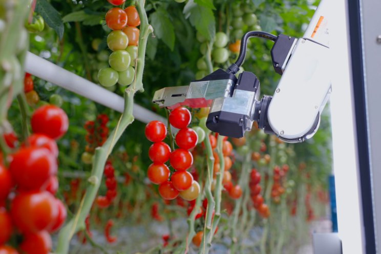 TTA-ISO unveils first-of-its-kind tomato harvesting robot at FRUIT LOGISTICA