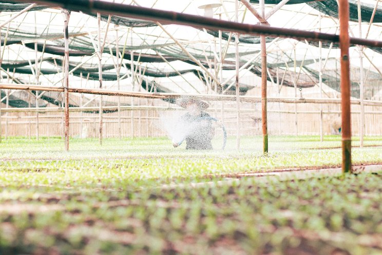 Innovations in irrigation