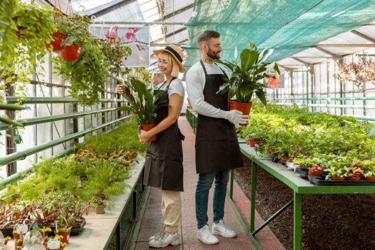 Heated greenhouses: The future of winter gardening