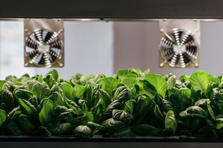 7 insights on how dynamic climate conditions affect indoor farm automation