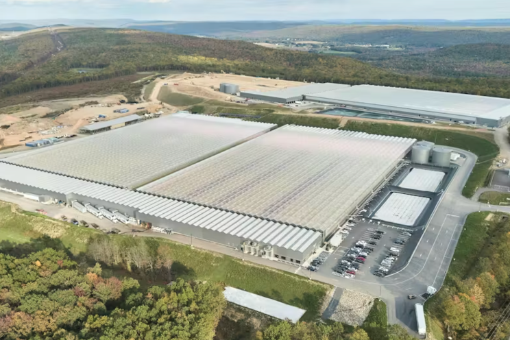 Little Leaf Farms opens third greenhouse, begins building more