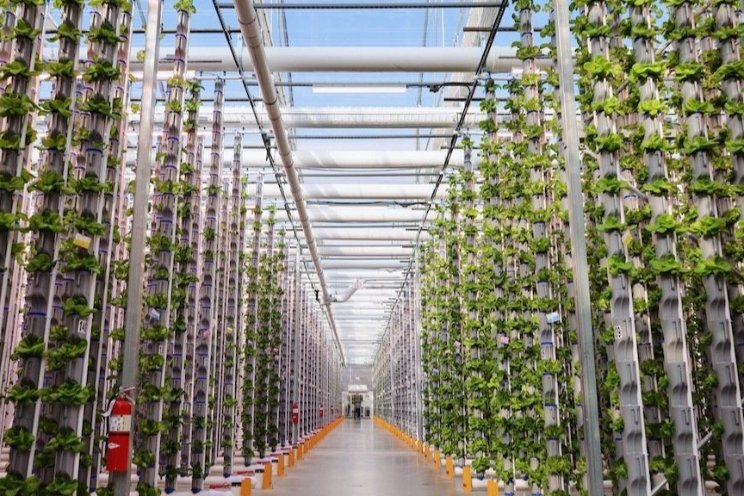 Funding hydroponic vertical farms