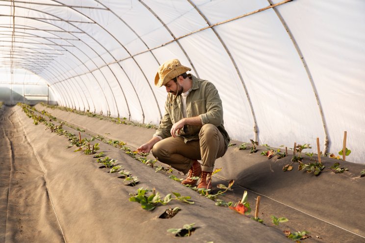 USD 7.2M allocated to strengthen Ontario's agri-food industry