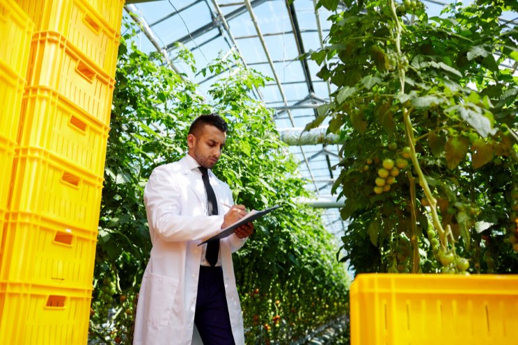 Iran's greenhouse farming expands 161% over past decade