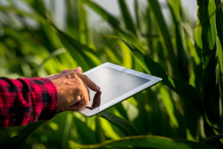 How IoT in agriculture is transforming the way we grow