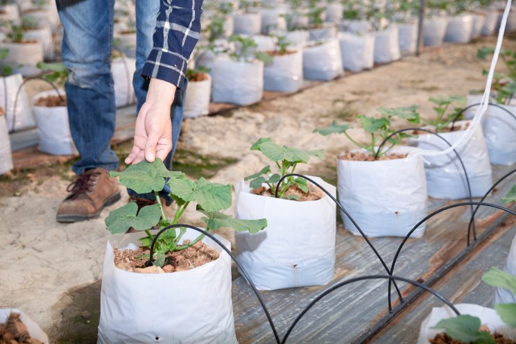 Field to Farm: How robots in agri revolutionize farming