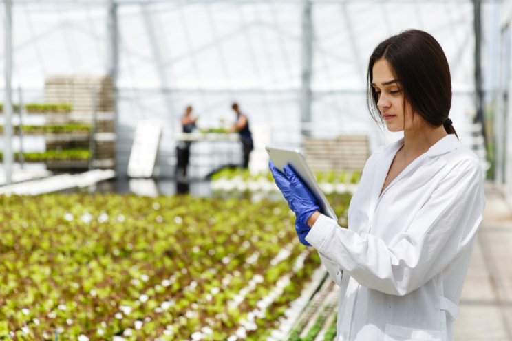 Maximizing commercial greenhouse yields through CO2-Sensing IoT systems