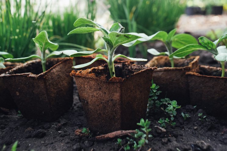 Organic farming pioneer builds subterranean greenhouse in Montana