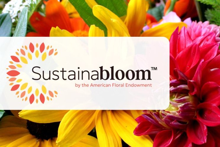 AFE gifts sustainability resources and guides to the floriculture industry