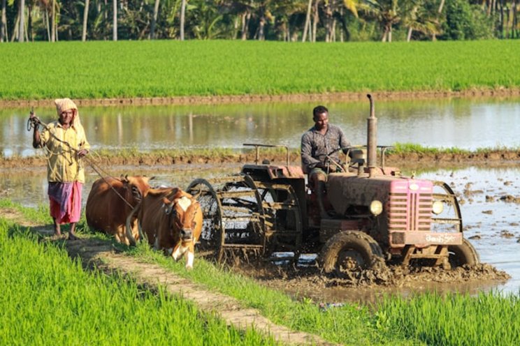 What impact does climate change have on agriculture