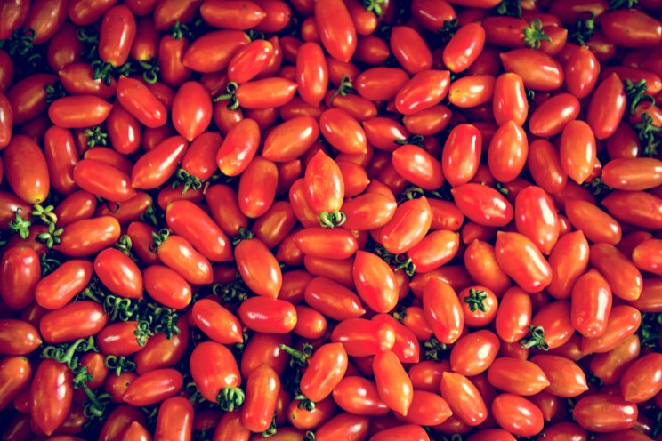 Moroccan tomatoes in France: Towards a bilateral agreement