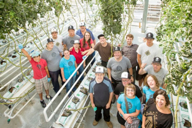 Vertical hydroponic indoor farm prepares to take root in Maine