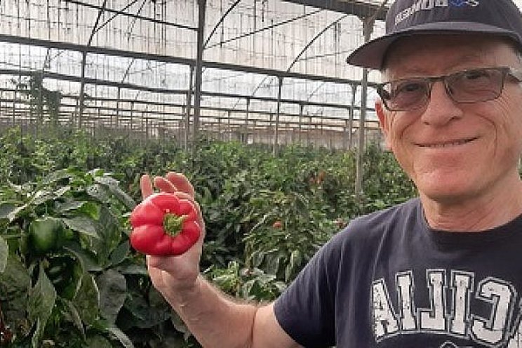 Volunteering to help Israeli farmers