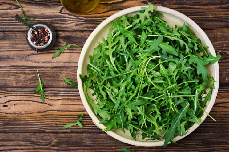 Everything you need to know about hydroponic arugula