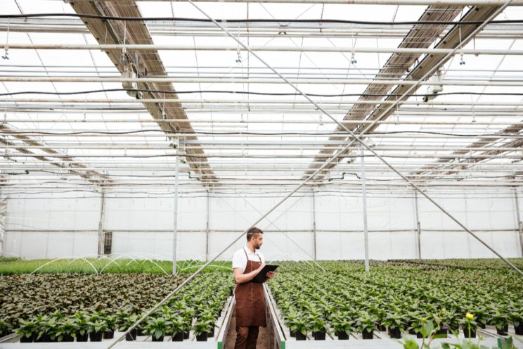 How to cultivate customer-centric greenhouse operations