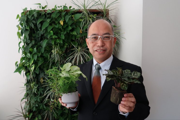 Suntory Flowers adds green walls systems