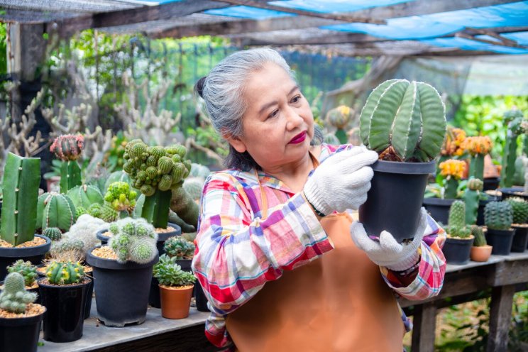 Chengdu: Chinese insights on automation and data driven horticulture