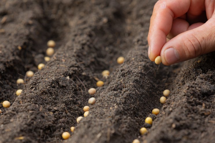 Activating genomics to accelerate climate-smart crop delivery