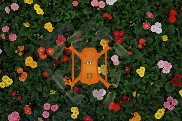 How pollination drones are emerging as alternatives to bees