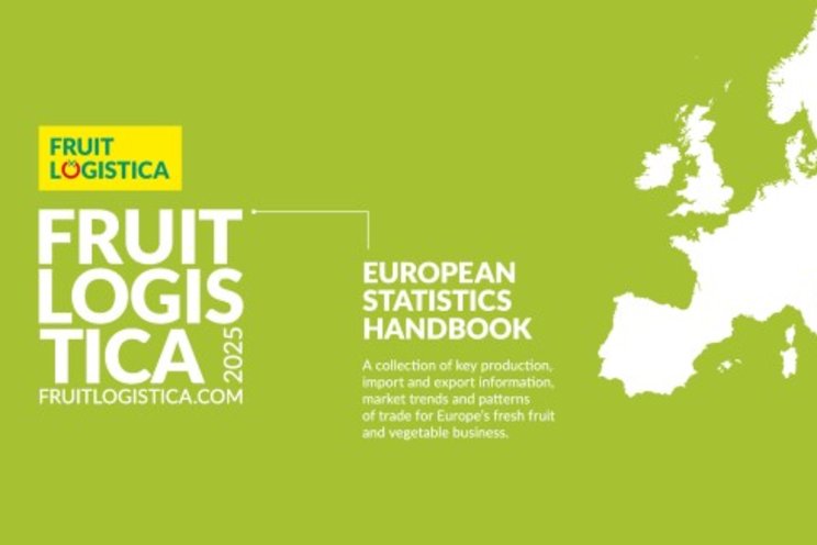 European Statistics Handbook 2025