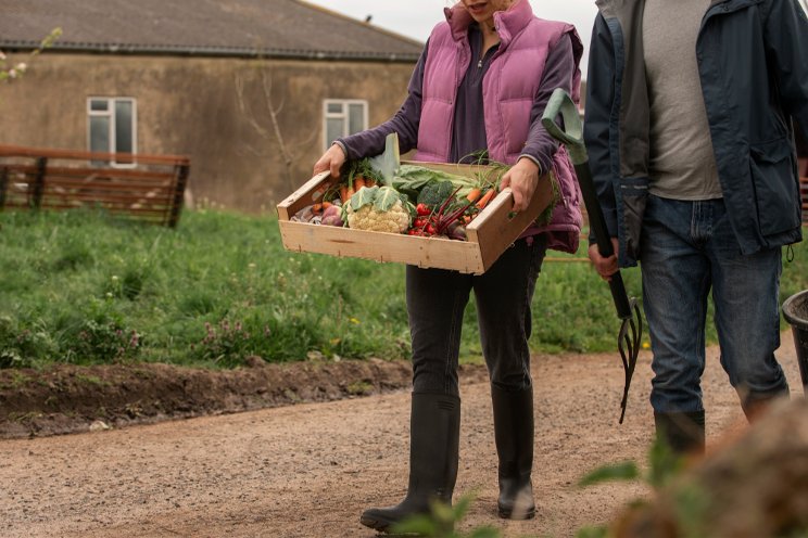 Greenhouse farming tech helps transform the way farmers grow crops