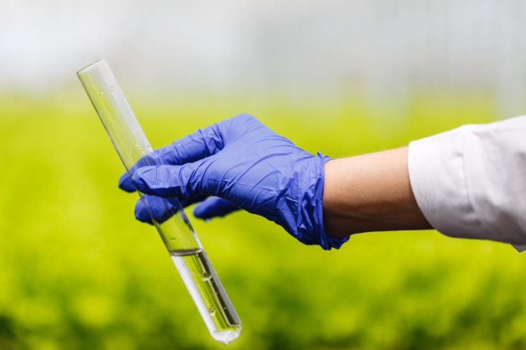 The best mycotoxin tests to detect toxins in crops