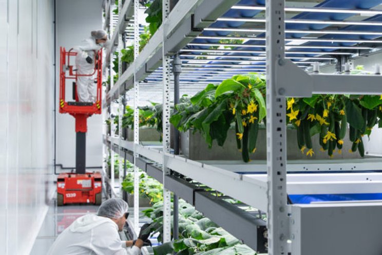 Grow-Tec from Israel growing more than leafy greens