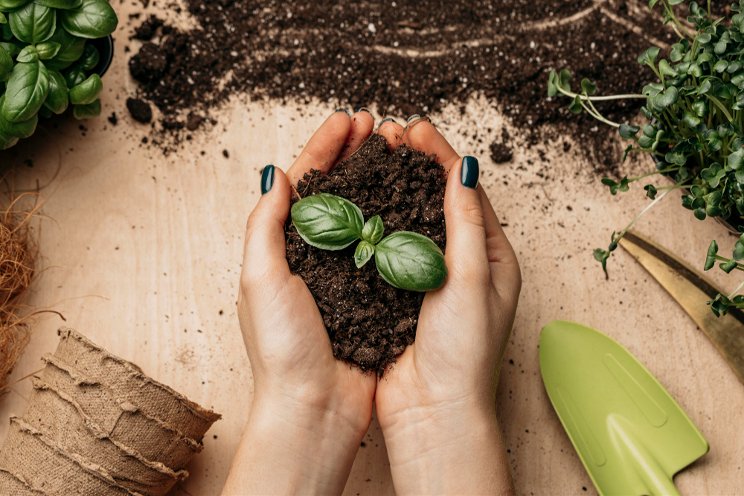 Urban agriculture allows people to balance their lives