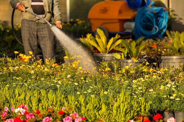 A holistic approach to greenhouse water management