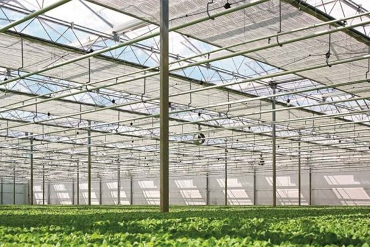 Grower can develop roadmap to fossil-free with Kas Energiewijzer