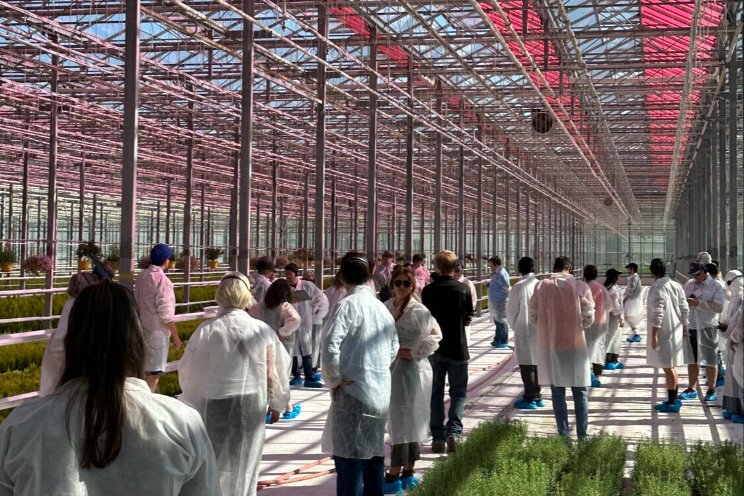 Why Canada has the largest greenhouse hub in N. America?