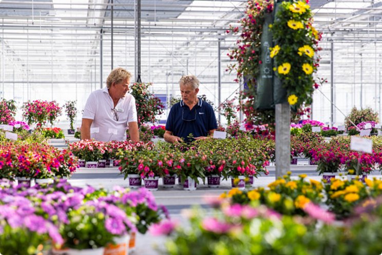 Flower Trials: Key event of the year for pot and bedding plants