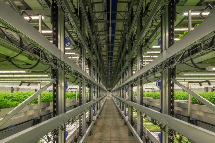 The world's largest vertical farm completes