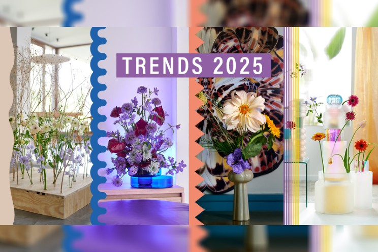 The Flower Council of Holland introduces horticulture trends 2025