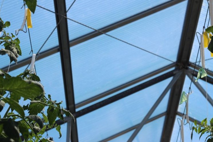 Six greenhouse HVAC trends to watch in 2023