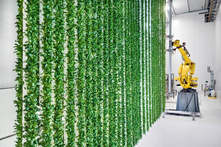 Inside a vertical warehouse farm hiding in plain sight