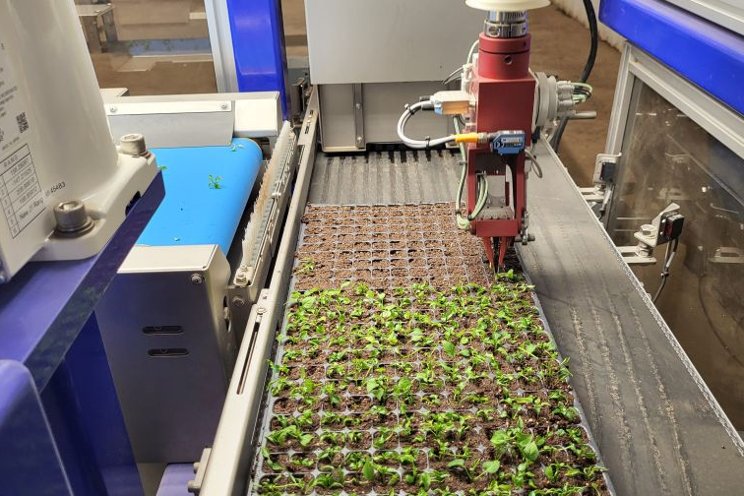 Putting new greenhouse technology through the paces