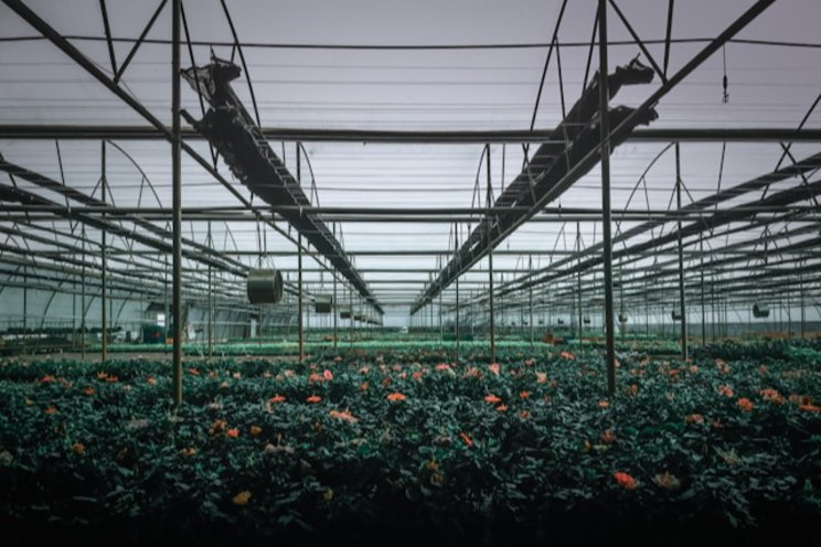 Taming the greenhouse environment