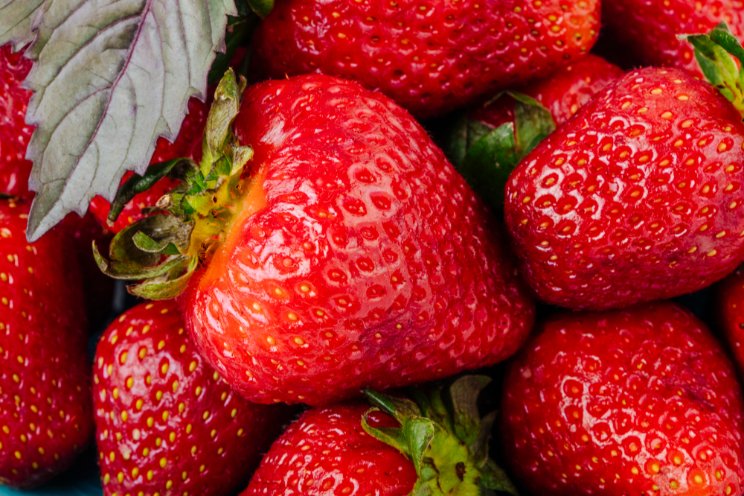 Everything you need to know about hydroponic strawberries