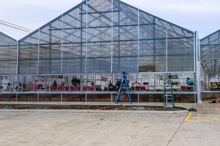 Maximize profits with spring greenhouse maintenance