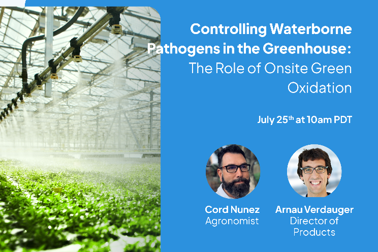 Webinar on controlling waterborne pathogens in greenhouses