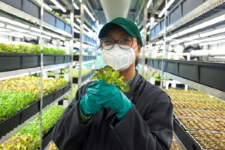 New VF BioTech grows plants in the dark